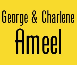 Sponsor Grid2021 Ameel